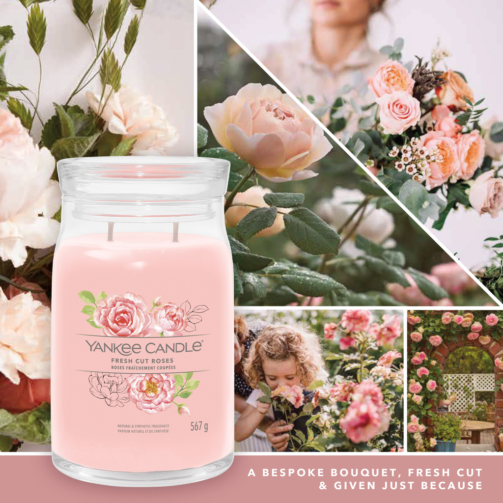 YC Fresh Cut Roses Signature Large Jar