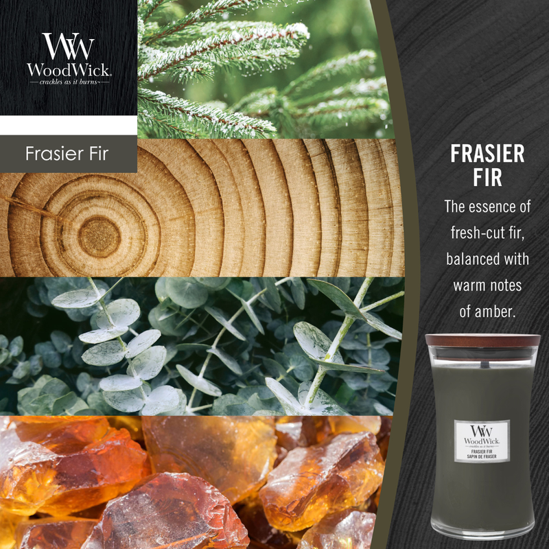 [93175E] WW Frasier Fir Large